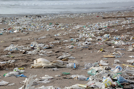 Plastikmüll in Ozeanen ist ein großes Umweltproblem